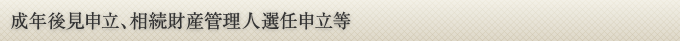 成年後見申立、相続財産管理人選任申立等